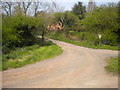 Public byway near Cutlersforth Farm