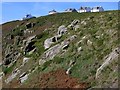 Houses above Porth Chapel