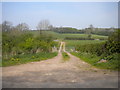 Farm track west of Halam