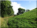 Footpath alongside the Motte. Brinklow