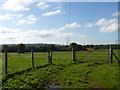 Power lines across a field near Feckenham