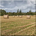 R8597 : Straw bales in a field by David P Howard