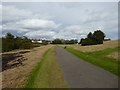 SJ8748 : Cycleway on Central Forest Park by Jonathan Hutchins