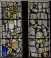 SP3378 : Medieval stained glass, St Mary's Guildhall, Coventry by Julian P Guffogg