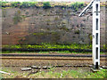 Railway cutting at Dumbarton tunnels