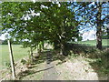 Footpath to Lawrence Street