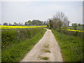 Lane east of Little Turncroft Farm