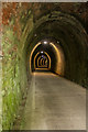 SS4523 : Landcross Tunnel by Guy Wareham