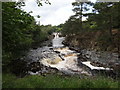 NY9027 : Low Force and the River Tees from Wynch Bridge by Les Hull
