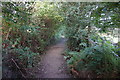 Path leading to Shepley