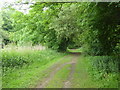 Footpath in the River Lee Country Park at Turnford Brook