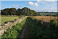 Stretch Gate towards Shelley