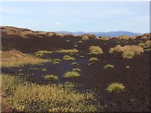 NN7890 : Peat bog east of Meallach Mor by Roy Smart