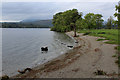 NY3702 : The Lake beside Jenkin's Field by Chris Heaton