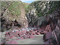 SM7624 : Purple sandstone, Caerfai Bay by E Gammie