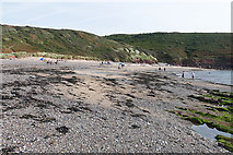 SS0597 : Manorbier Beach by Alan Hunt