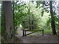 Path in North Bishopden Wood, Dunkirk