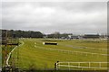 SX8671 : Newton Abbot Racecourse by N Chadwick