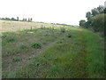 Looking E towards part of proposed lorry park at Stanford West