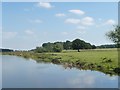 SE5741 : The south bank of the River Ouse, near Stillingfleet Ings by Christine Johnstone
