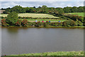 Carew millpond