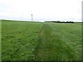 Footpath on Bignall Hill