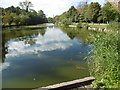 Long Pond on Totteridge Common