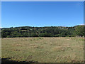 View west across the Teign Valley