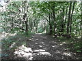 Woodland on the southern slope of Featherstone hill