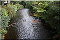 River Holme, Amitage Bridge