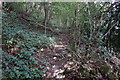 Path up to Beaumont Park, Huddersfield