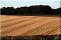 Wallpaper: stubble field opposite Binbrook Walk Farm