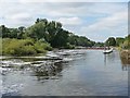 SE5944 : Weir on the River Ouse, by Naburn Lock by Christine Johnstone