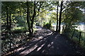 Bridleway towards Rock Lane