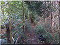 Footpath at Shovelstrode Farm