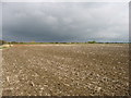 Farmland near Water Eaton, east of Cricklade