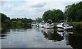 SE6049 : Boats moored on the east bank of the River Ouse by Christine Johnstone