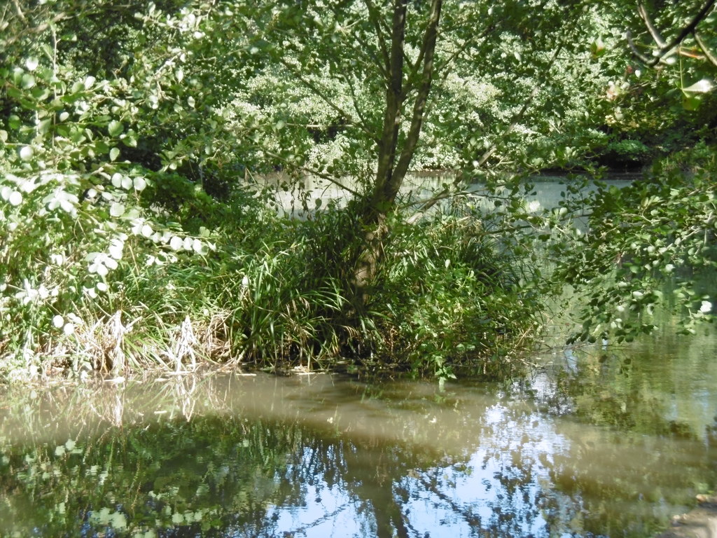 Darland's Lake © Marathon :: Geograph Britain and Ireland