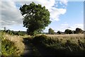 Farm road, Mause