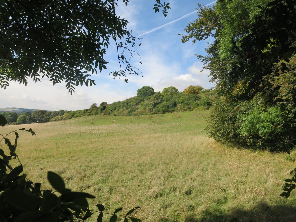 Chiltern Edge Scenery near Goring © Des Blenkinsopp :: Geograph Britain ...