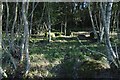 Stone circle, Blackfaulds