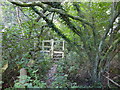 Footpath approaches steps to footbridge