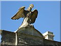 ST7475 : Eagle above Dyrham Park by Philip Halling