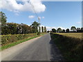 TM1389 : Hill Road, Tibenham by Geographer