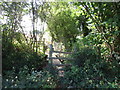 Footbridge on the path to Aston Ingham