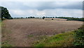 Arable land to the east of Swinley Court