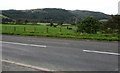 View north across the Dovey Valley from Powys to Gwynedd