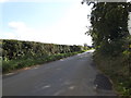 TM1691 : Muir Lane, Aslacton by Geographer