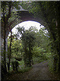 ST7660 : Path under the bridge by Neil Owen