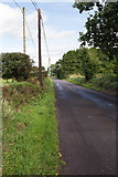 W5076 : Lane L2760 near Berrings by David P Howard